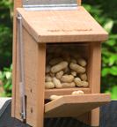 Peanut Box
